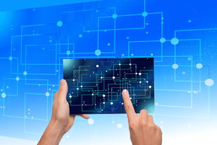 开云体育在线-中国篮球教练员战术执行力提升路径及方法研究，如何提高篮球教练员水平