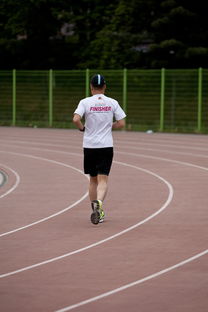 开云体育在线登录-高校运动训练效果科学评估研究，运动训练高校排名