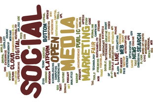 开云体育平台-新加坡队赛制解析：如何借助赛制优化提高整体协作，新加坡邀请赛赛程